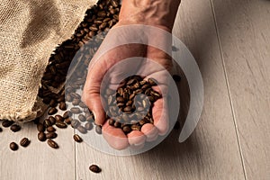 A fistful of roasted coffee beans with copy space