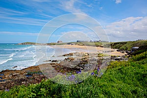 Fistral beach Newquay North Cornwall uk with bluebells and waves in spring best surfing beach in the UK
