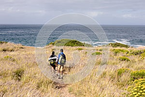 Fit afrcan american couple wearing backpacks nordic walking with poles in mountain countryside