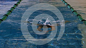 Fit female swimmer doing the breast stroke in swimming pool