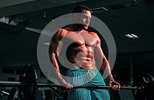 Fit man doing biceps lifting barbell. Portrait of young athlete doing exercise with dumbbell at the gym. Crossfit, sport