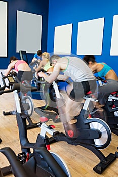 Fit people in a spin class