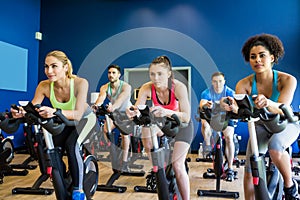 Fit people in a spin class photo