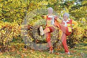 Fit senior couple exercising in autumn park
