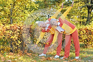 Fit senior couple exercising in autumn park