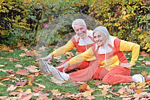 Fit senior couple exercising in autumn park