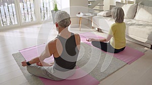 Fit serene retired old senior couple meditating learning virtual yoga at home.
