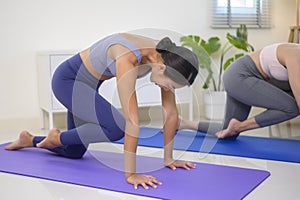 Fit young friend women doing yoga and meditation at home, sport and healthy lifestyle concept