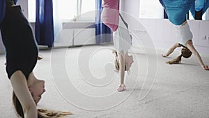 Fit young women doing aerial yoga exercise stretching their backs while hanging upside down on hammocks in antigravity