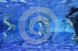 Fitness class doing aqua aerobics on exercise bikes in swimming pool resort hotel