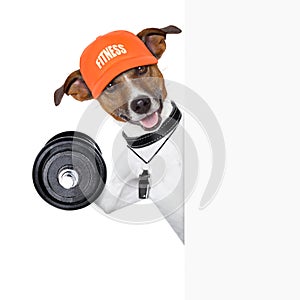 Fitness dog banner