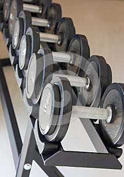 Fitness Exercise Equipment Dumbbell Weights.