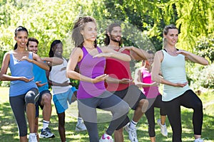 Fitness group doing tai chi in park