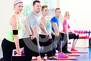 Fitness people in gym working out - dumbbells