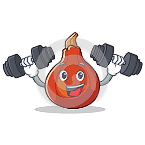 Fitness red kuri squash character cartoon