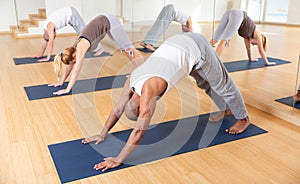 Fitness, sport and healthy lifestyle concept - woman doing yoga downward-facing dog pose on mat