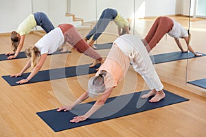Fitness, sport and healthy lifestyle concept - woman doing yoga downward-facing dog pose on mat