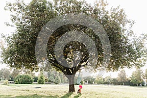 Fitness stretching exercises before workout. Sports girl stands on her head near a tree in the park.