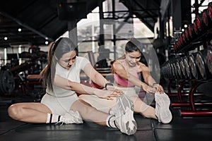 Fitness, stretching and two woman at gym for a warm up workout, training and body wellness with exercise. Young sports female or