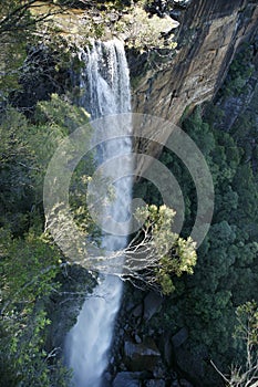 Fitzroy Falls