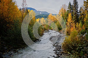 Fitzsimmons Creek, fall foliage and Whistler Mountain, BC