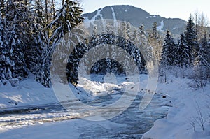 Fitzsimmons Creek in Whistler Village