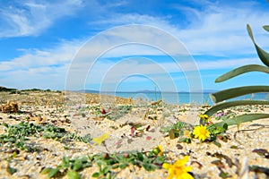 Fiume Santo beach seen from the ground