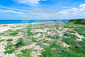 Fiume Santo beach on a sunny day in springtime