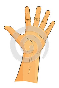 five 2 gesture vector hand draw sketch doodle man hand