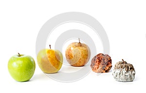 Five apples in different stages of decay