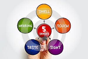 Five basic human senses: touch, sight, hearing, smell and taste, mind map concept for presentations and reports