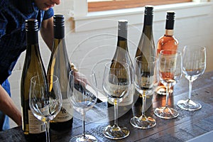 Row of wine bottles and glasses, ready for tasting, Living Root Winery, Rochester, New York, 2017