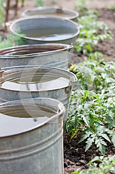 Five buckets with water