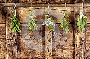 Five bunches of assorted fresh herbs hanging up