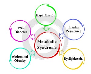 Causes of Metabolic Syndrome