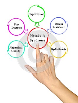 Causes of Metabolic Syndrome photo