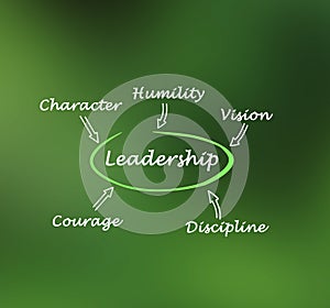 What good Leadership is