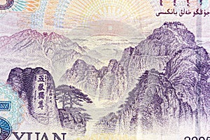 Five Chinese yuan renminbi RMB banknote on macro.