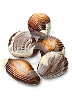 Five chocolate mollusk shaped photo