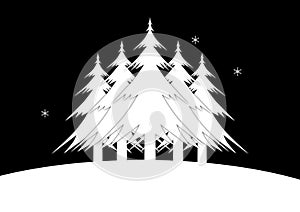 Five Christmas Trees standing a snowy landscape. The night sky is filled with stars