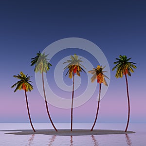 Five coconut palms