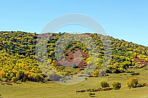 five Color mountain autumn scenery