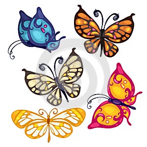 Five colorful beautiful butterfly, vector insect