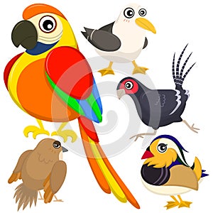 Five colorful cute birds