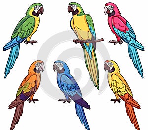 Five colorful parrots illustrated vibrant hues perched individually. Various species parrots blue photo