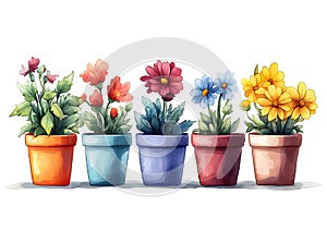 Five colorful potted plants are arranged in a row. Each pot, painted in vibrant photo