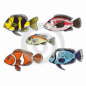 Five colorful tropical fish illustrations, fish features vibrant patterns hues. Tropical marine