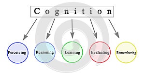 Components of Cognition photo