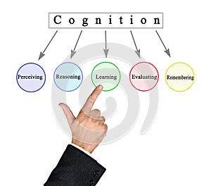 Five Components of  Cognition photo