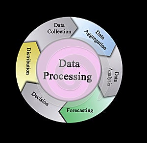 Components of Data Processing photo